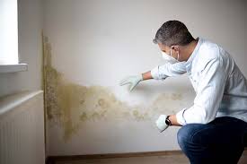 Why You Should Choose Our Mold Remediation Services in Glencoe, FL